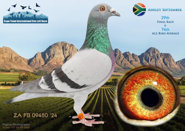 LOT 16 CAPE TOWN WINTER-Ashley September-ZA-FB-24-09480 –