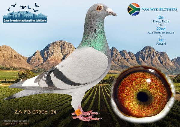 .LOT 6 CAPE TOWN WINTER-Van Wyk Brothers-ZA-FB-24-09506 –
