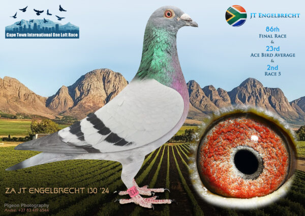 LOT 33 CAPE TOWN WINTER-J T Engelbrecht-ZA-JT ENGELBRECH-24-130 –