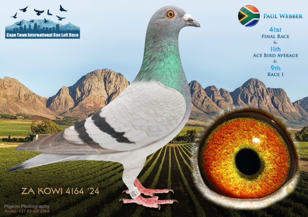 LOT 21 CAPE TOWN WINTER-Paul Webber-ZA-KOWI-24-4164 –