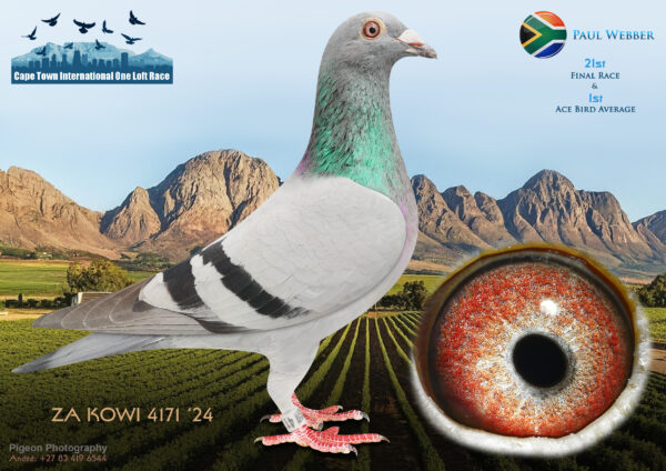 LOT 11 CAPE TOWN WINTER-Paul Webber-ZA-KOWI-24-4171 –