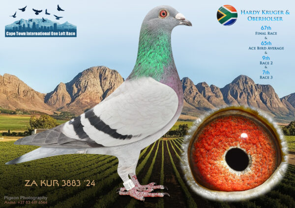 LOT 28 CAPE TOWN WINTER-Hardy Kruger & Oberholster-ZA-KUR-24-3883 –