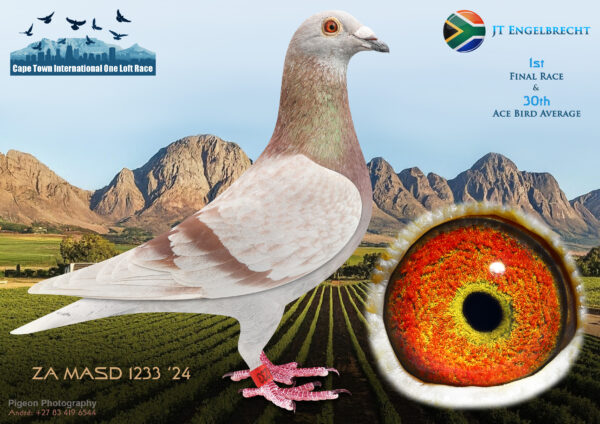 .LOT 1 CAPE TOWN WINTER-J T Engelbrecht-ZA-MASD-24-1233 –