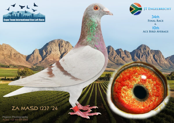 LOT 18 CAPE TOWN WINTER-J T Engelbrecht-ZA-MASD-24-1237 –