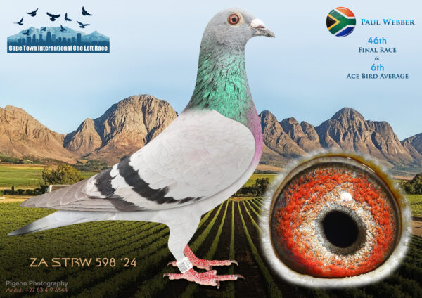 LOT 23 CAPE TOWN WINTER-Paul Webber-ZA-STRW-24-598 –