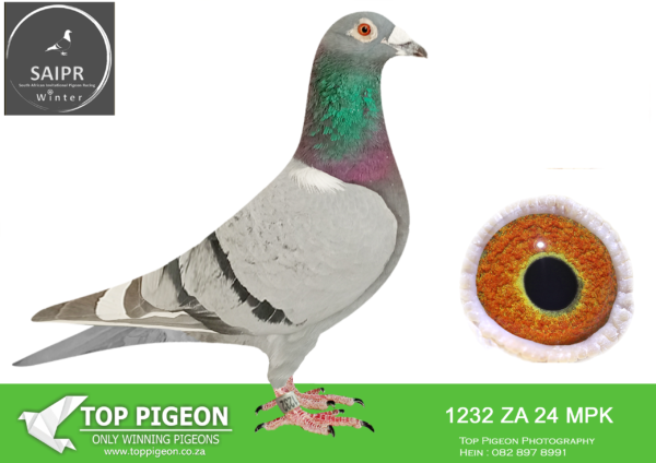 z..LOT 111 SAIPR AUCTION 2 -OCD-za mpk 24 1232*** –