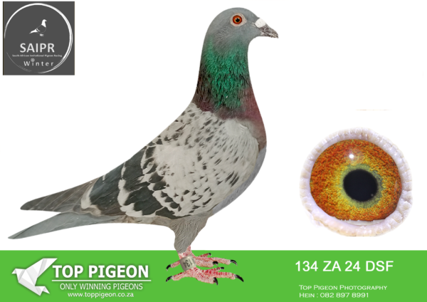 LOT 66 SAIPR AUCTION 2 -Dragon & Stockholm 2 – za dsf 24 134*** · Purple Rain –