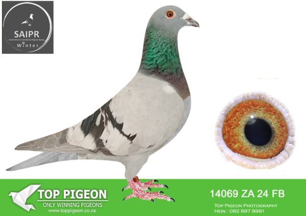 LOT 20 SAIPR AUCTION 2 – Len Knoetze 1-ZA FB 14069 2024*** –