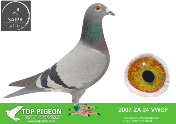LOT 46 SAIPR AUCTION B -TRINITY LOFTS-ZA 24 VWDF 2007 –
