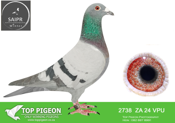 LOT 63 SAIPR AUCTION 2 – FOUCHE & ESSER-ZA VPU 2738 2024 · CHALLENGE –