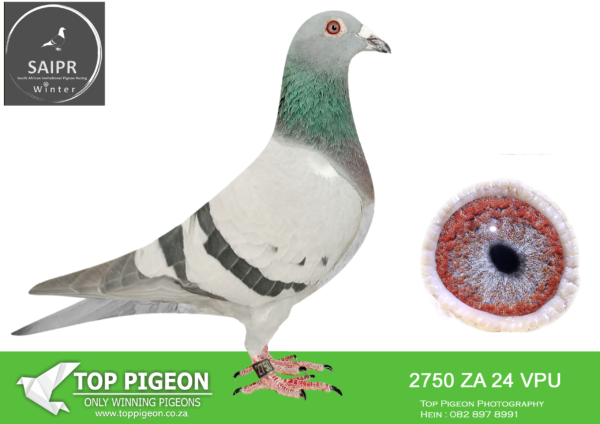 .LOT 2 SAIPR AUCTION 2 – FOUCHE & ESSER-ZA VPU 2750 2024*** · Remco –