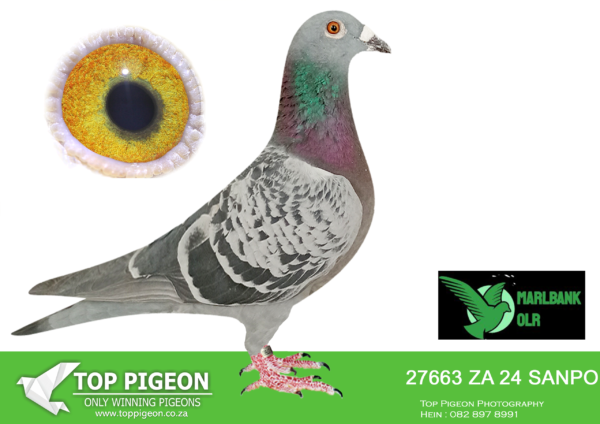 Z..LOT 129 MARLBANK  OLR – KORANNA LOFTS-ZA-24-SANPO-27663 –