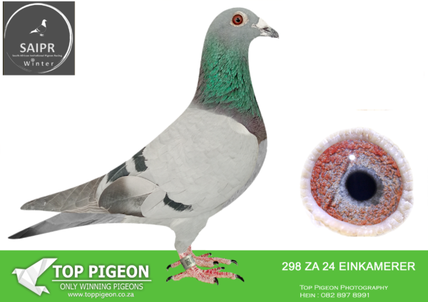 LOT 25 SAIPR AUCTION 2 – Loft Einkamerer Liezel-ZA EINKAMERER 298 2024 –