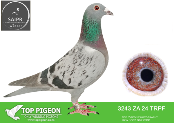 LOT 23 SAIPR AUCTION 2 – Highlander lofts-za trpf 24 3243 · CHALLENGE –
