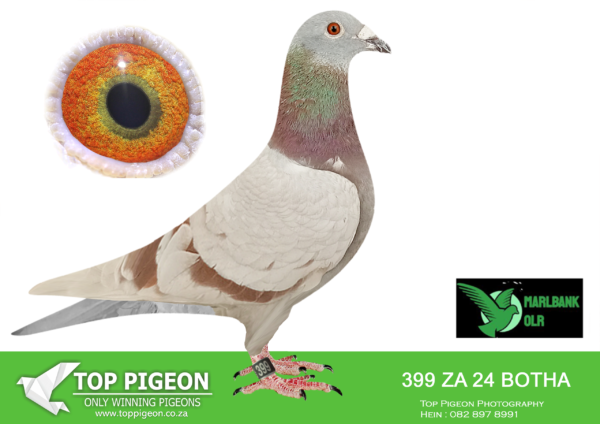 Z..LOT 130 MARLBANK  OLR – BOTHA LOFTS-ZA-24-BOTHA-399 –