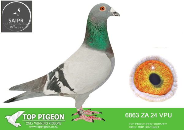 LOT 13 SAIPR AUCTION 2 – OOA & RVV-za vpu 24 6863*** · Kalahari –