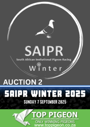 UPCOMING AUCTION - SAIPR OLR AUCTION 2 - SUNDAY 7 SEPTEMBER 2025