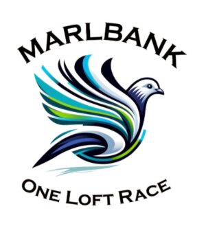 ACTIVE AUCTION - MARLBANK OLR -FROM 16 SEPTEMBER TO SUNDAY 21 SEPTEMBER 2025 (ENDING FROM 13:00)