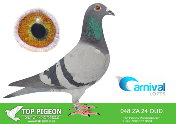 LOT 53 CARNIVAL LOFTS OLR-Oudeluck Luck-ZA OUD 24 048 –