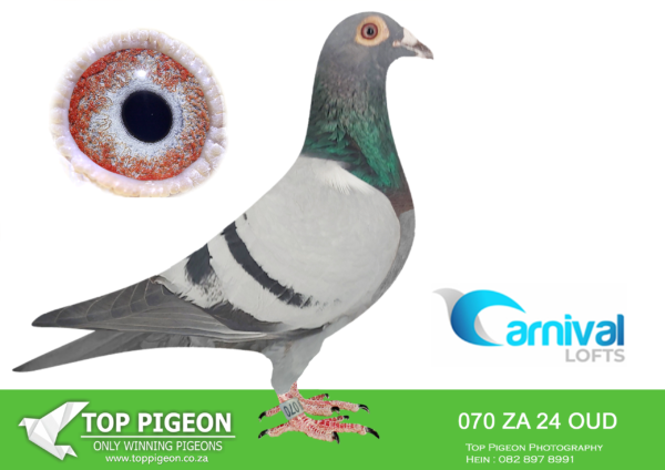 LOT 78 CARNIVAL LOFTS OLR-Oudeluck Luck-ZA OUD 24 070 –
