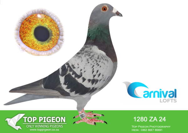 LOT 48 CARNIVAL LOFTS OLR – Willie Munnik-ZA 24 1280 –