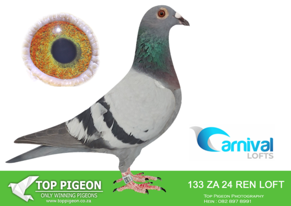 LOT 29 CARNIVAL LOFTS OLR – Out of Africa Lofts-REN LOFT 24 133 –