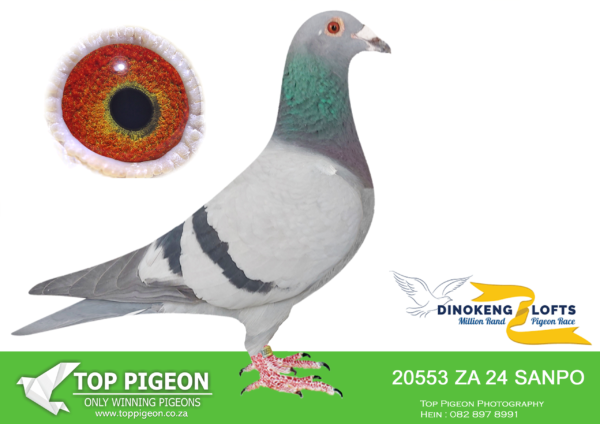 LOT 59 DINOKENG OLR – RIAAN VAN WAVEREN-ZA SANPO 24- 20553 HEN –