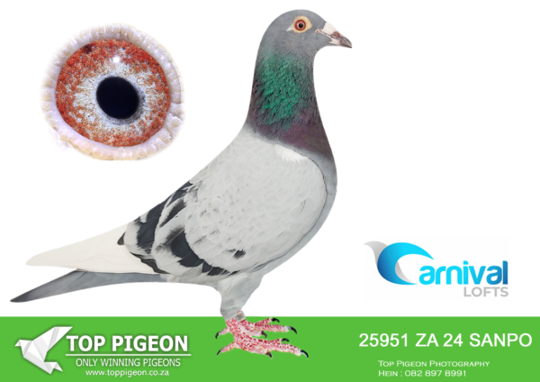 LOT 23 CARNIVAL LOFTS OLR – Toppigeon/Beneke Lofts-SANPO 24 25951 –
