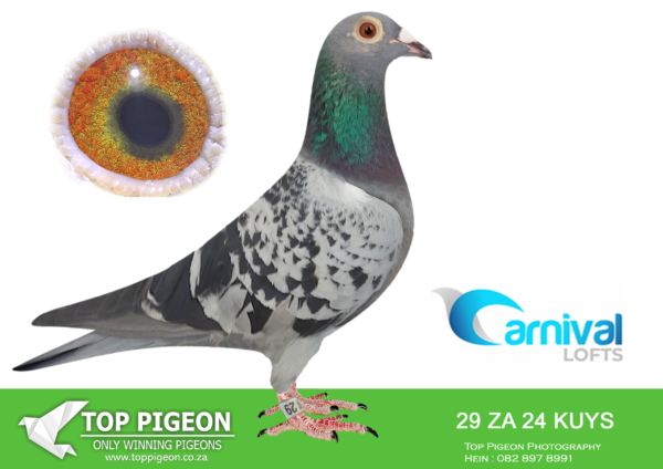 LOT 74 CARNIVAL LOFTS OLR-German Power-KUYS 24 29 –