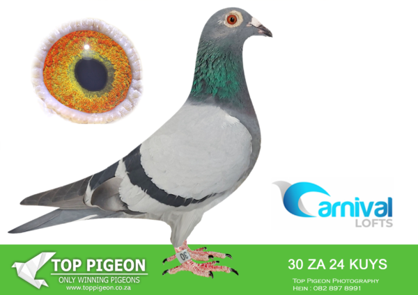 LOT 70 CARNIVAL LOFTS OLR-German Power-KUYS 24 30 –