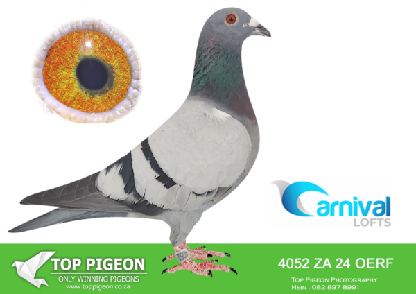 LOT 31 CARNIVAL LOFTS OLR – Andre & Juan-OERF 24 4052 –