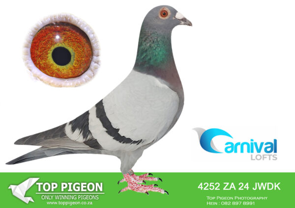 LOT 32 CARNIVAL LOFTS OLR – SW Louw-JWDK 24 4252 –