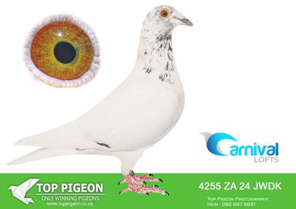 LOT 46 CARNIVAL LOFTS OLR – SW Louw-JWDK 24 4255 –