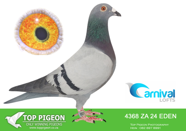 ZZ..LOT 100 CARNIVAL LOFTS OLR-Central Bridge-EDEN 24 4368 –
