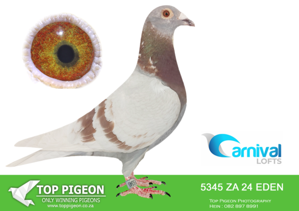 ZZ..LOT 107 CARNIVAL LOFTS OLR-Francois Marais-EDEN 24 5345 –