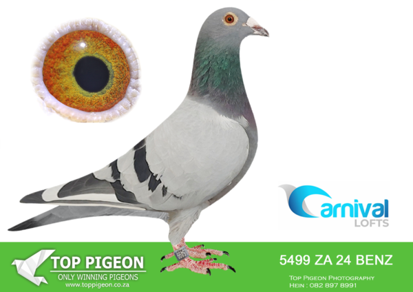 ZZ..LOT 109 CARNIVAL LOFTS OLR-Alan Jordaan-BENZ 24 5499 –