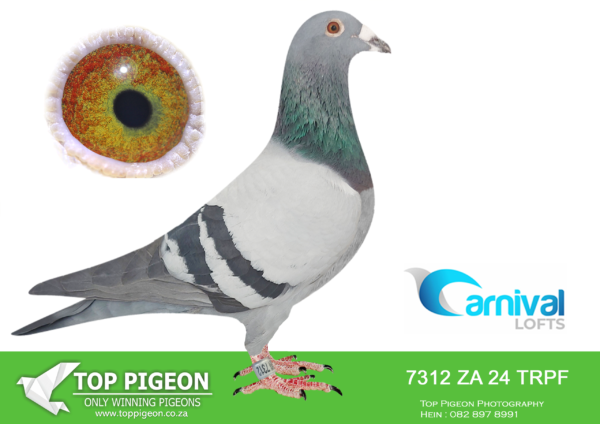 ZZ..LOT 102 CARNIVAL LOFTS OLR-Engelbrecht Racing Team-TRPF 24 7312 –