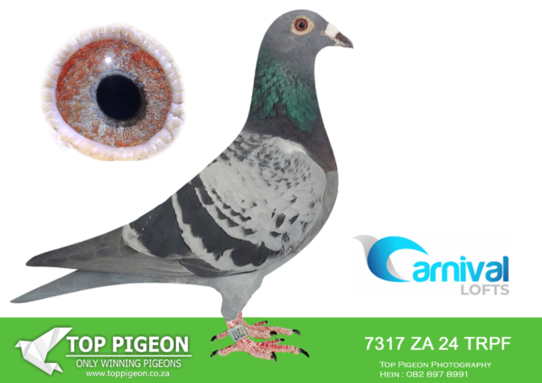 ZZ..LOT 106 CARNIVAL LOFTS OLR-Engelbrecht Racing Team-TRPF 24 7317 –