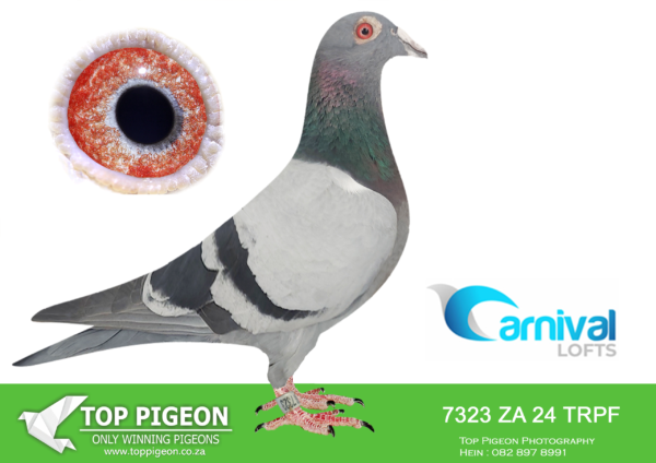 LOT 14 CARNIVAL LOFTS OLR – Engelbrecht Racing Team-TRPF 24 7323 –