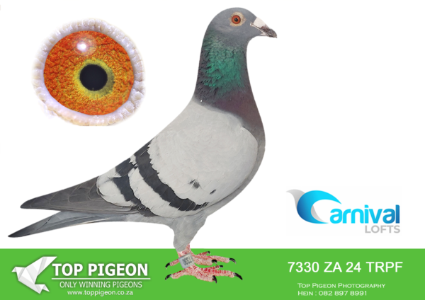 ZZ..LOT 108 CARNIVAL LOFTS OLR-Engelbrecht Racing Team-TRPF 24 7330 –
