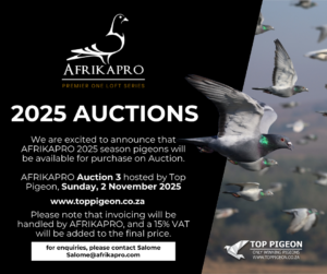 ACTIVE AUCTION - AFRIKAPRO AUCTION 3 - FROM 27 OCTOBER TO SUNDAY 2 NOVEMBER 2025 (ENDING FROM 13:00)