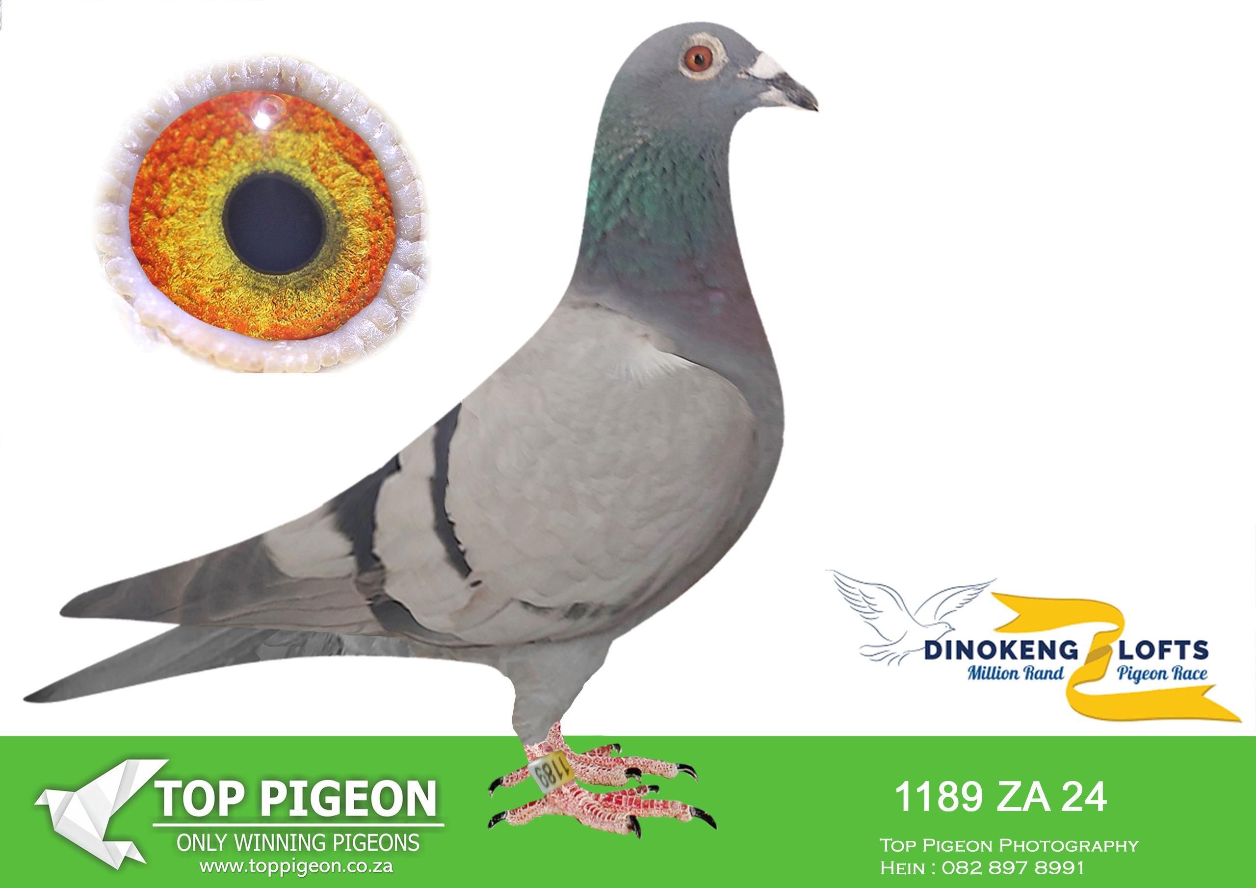 LOT 28 DINOKENG OLR AUCTION 2 – WILLIE MUNNIK-ZA 24- 1189 (B) –