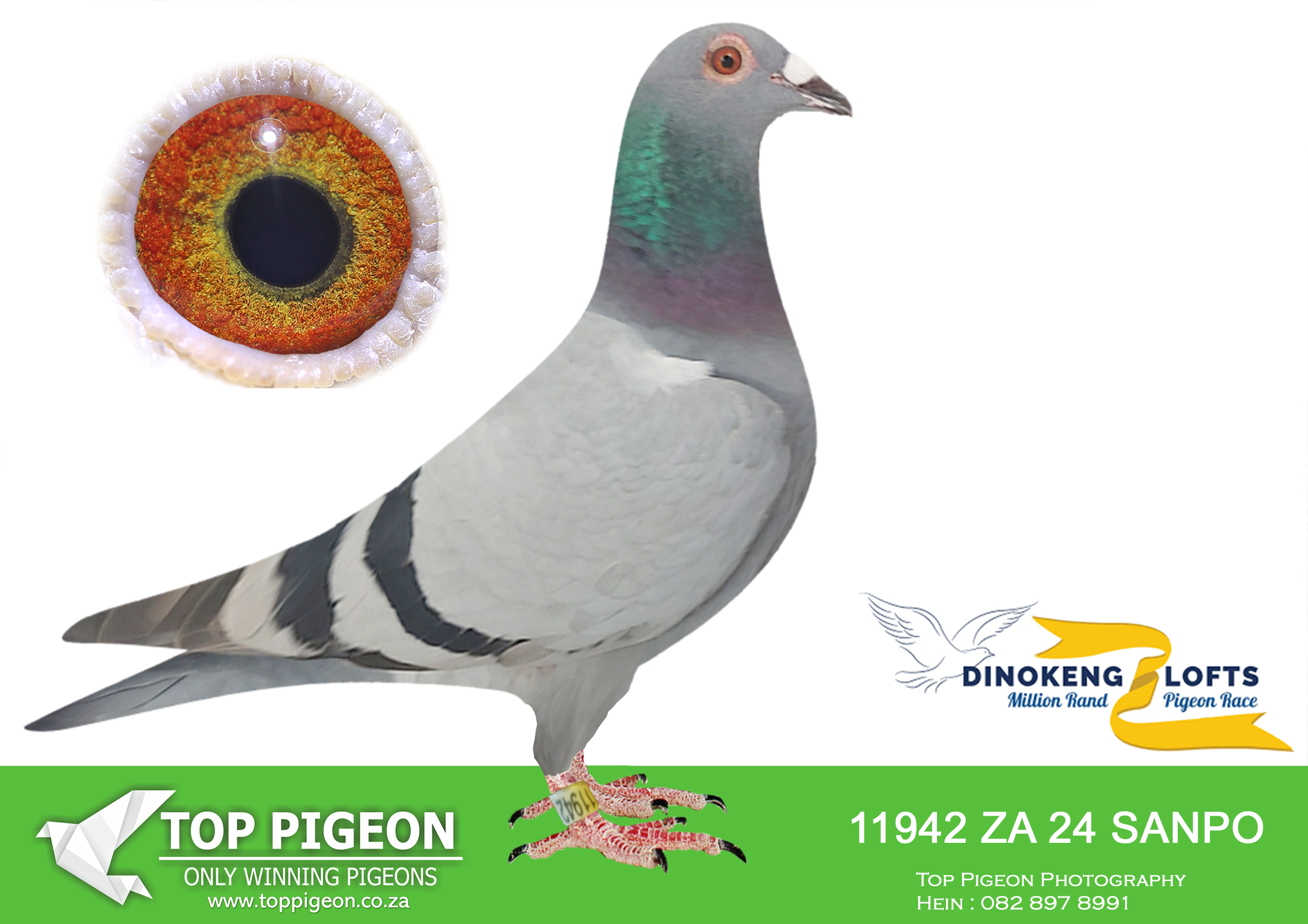 .LOT 1 DINOKENG OLR AUCTION 2 – WILLIE MUNNIK-ZA SANPO 24- 11942 (B) –