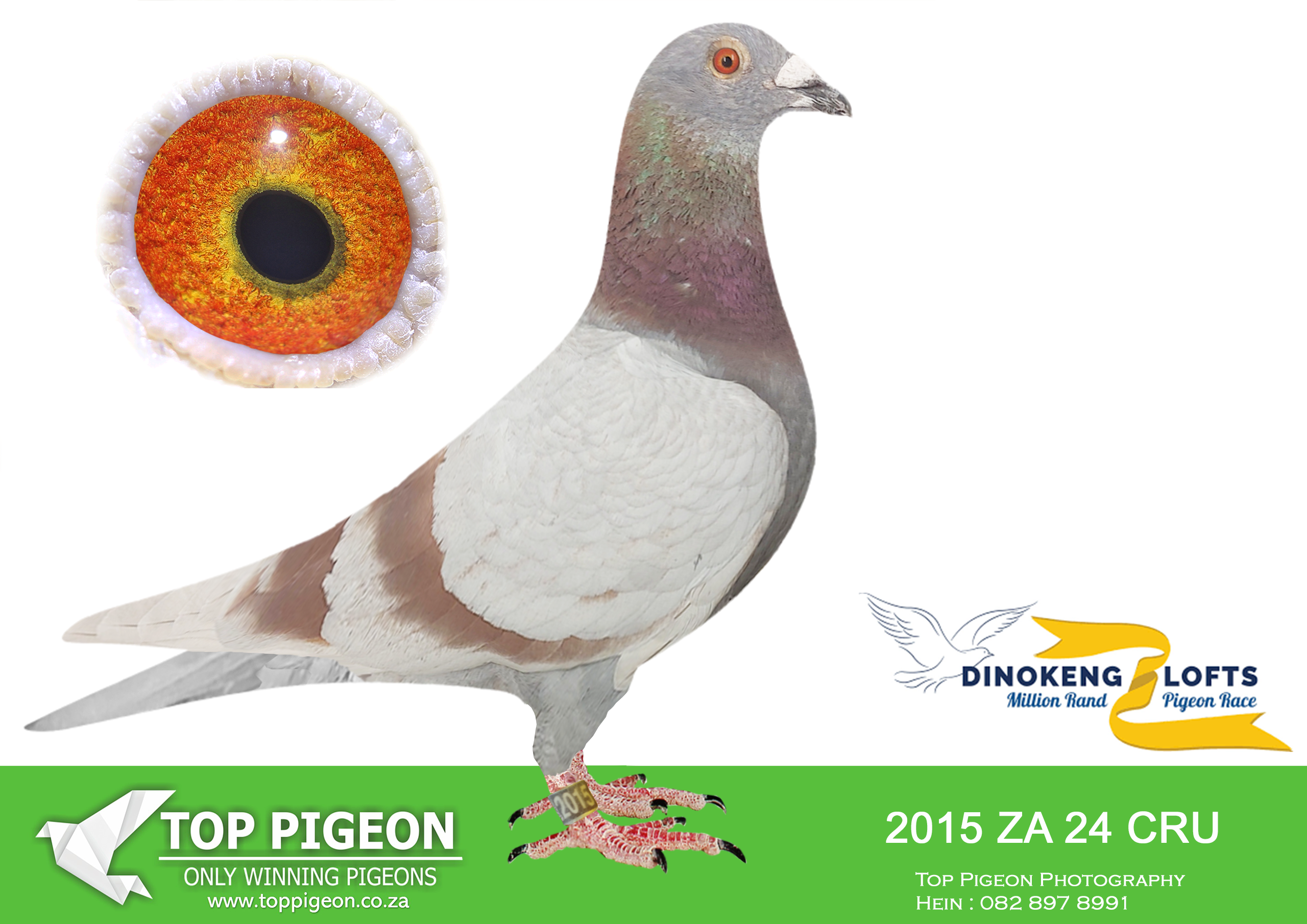 LOT 57 DINOKENG AUCTION 2 – BOTHA LOFTS-ZA CRU 24- 2015 –