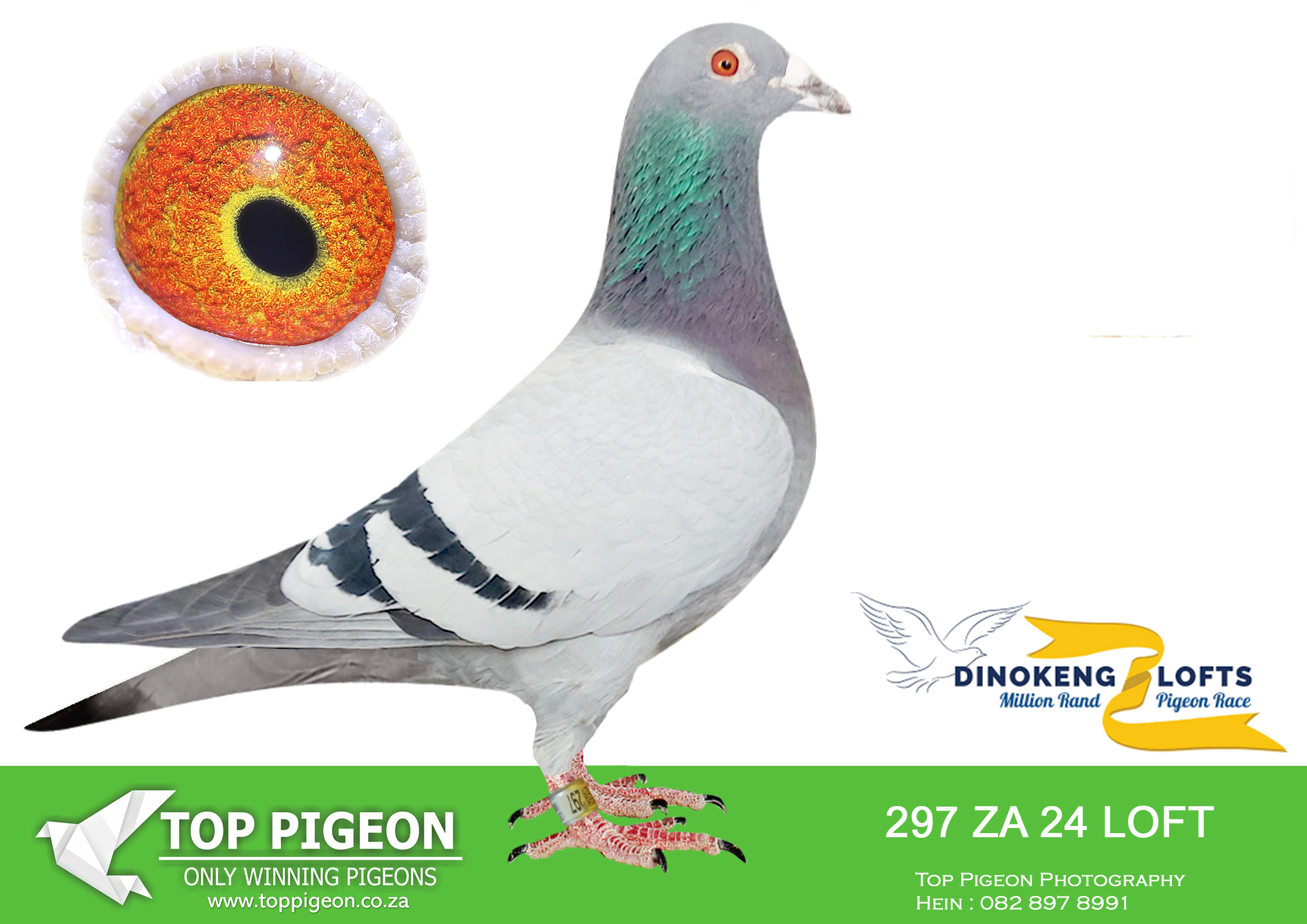 .LOT 4 DINOKENG OLR AUCTION 2 – LOFT EINKAMERER-ZA LOFT EINKAMERER 24- 297 –