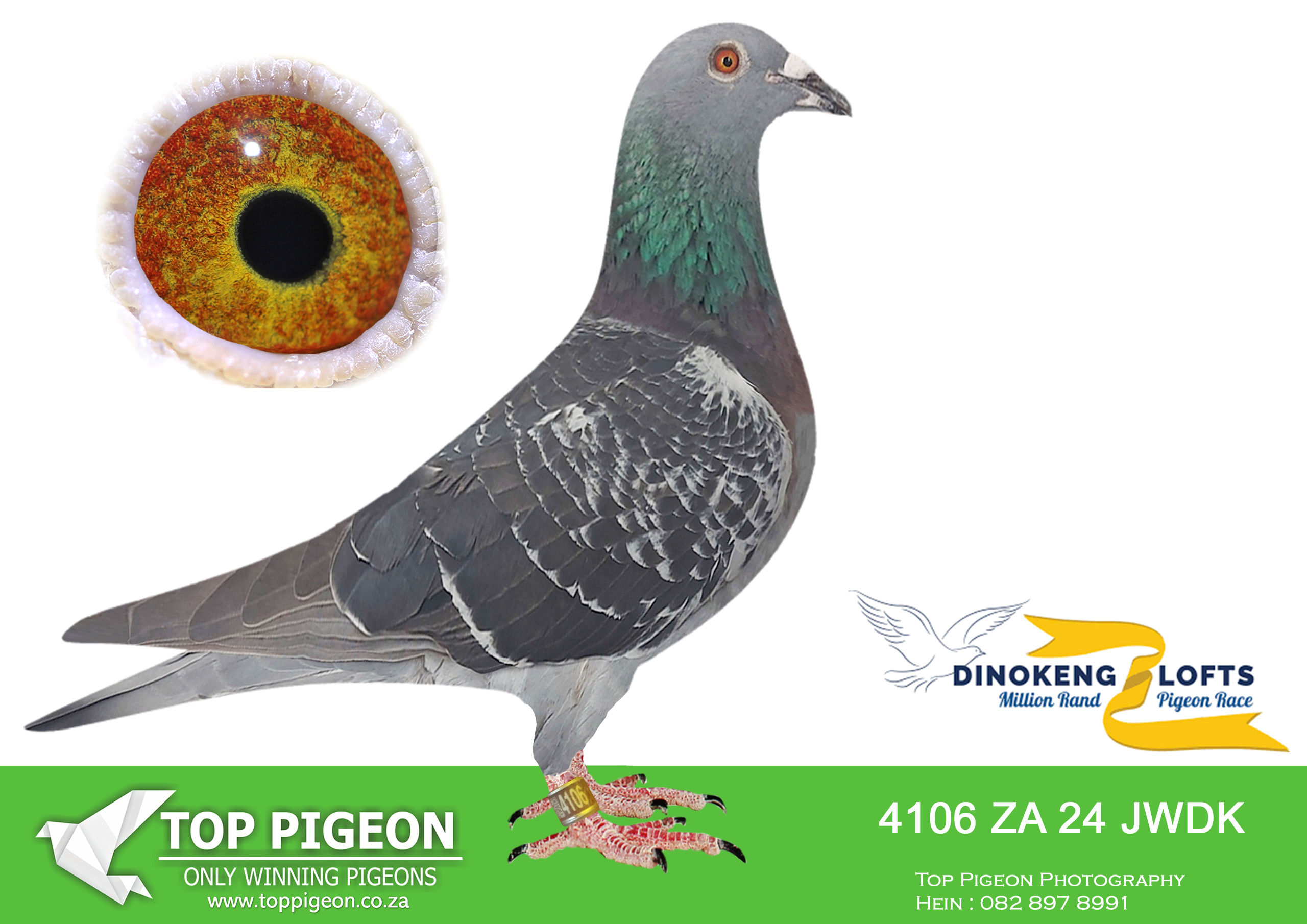 LOT 60 DINOKENG AUCTION 2 – COBUS & GYS LOUW-ZA JWDK 24- 4106 (B) –