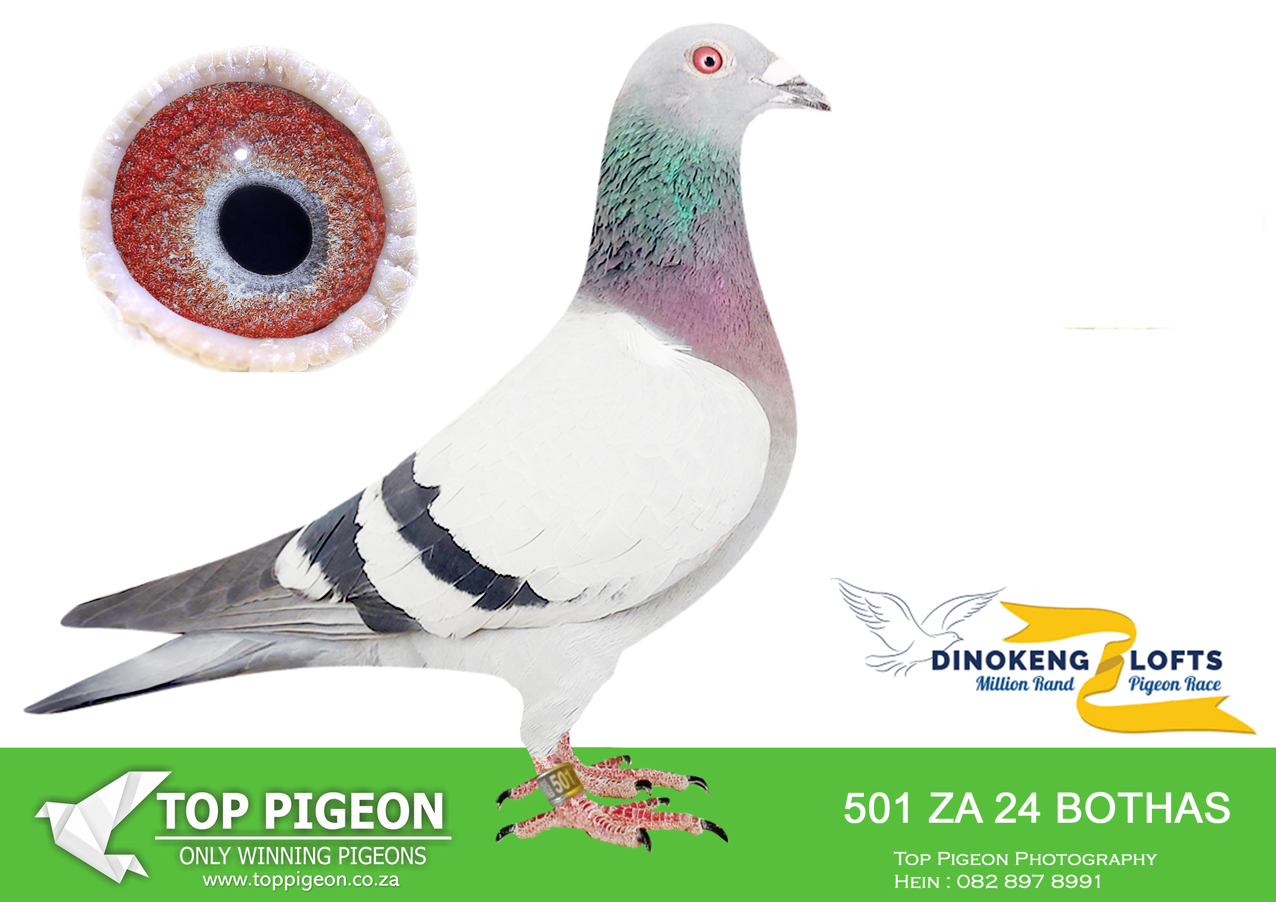 LOT 32 DINOKENG OLR AUCTION 2 – BOTHA LOFTS-ZA BOTHAS 24- 501 –