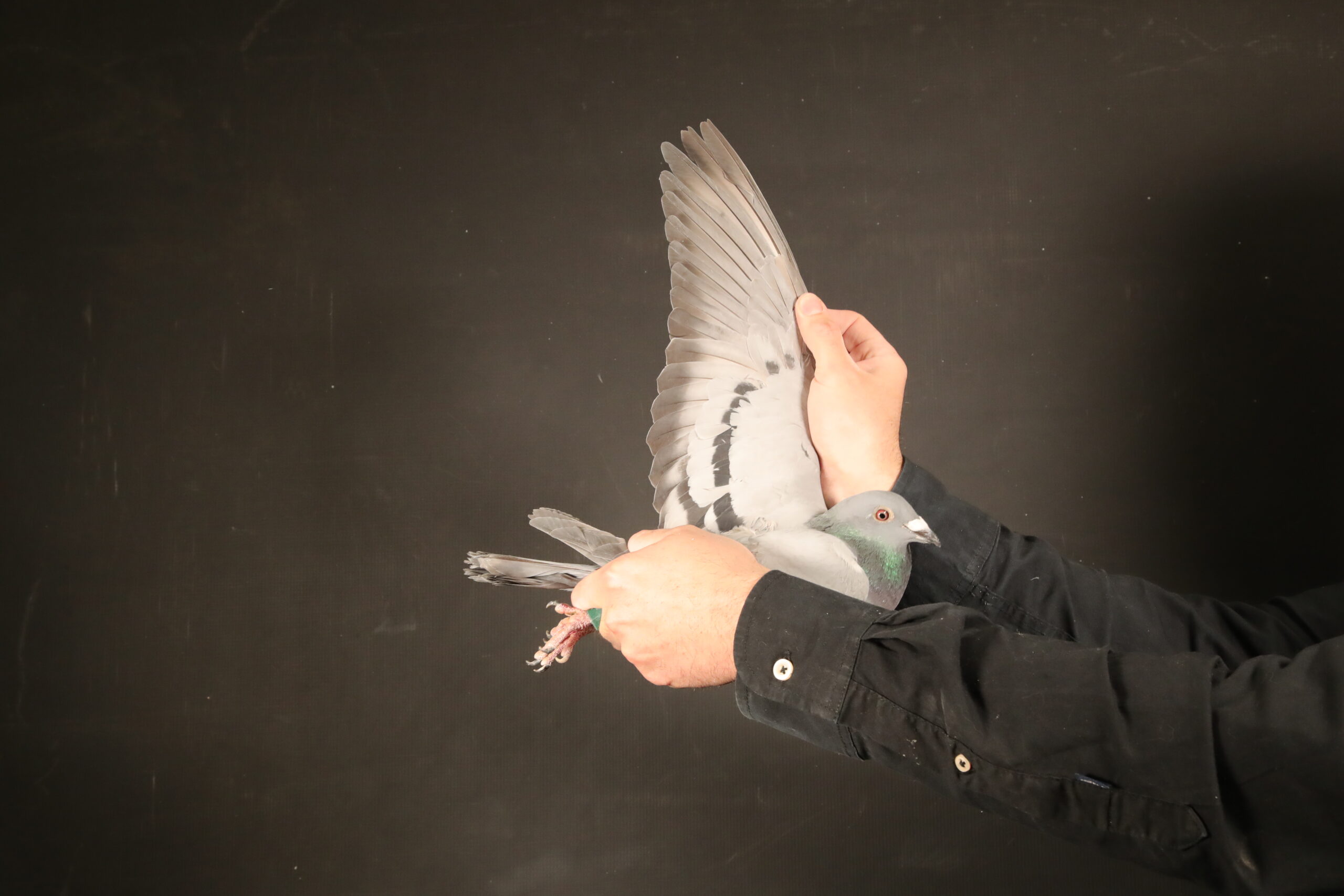 LOT 18 AFRIKAPRO AUCTION 4 – Team Vision-DV-24-06723-4091 -67th blue jacket , 42nd brown jacket