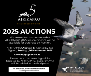 ACTIVE AUCTION - AFRIKAPRO AUCTION 5 - FROM 10 NOVEMBER TO SUNDAY 16 NOVEMBER 2025 (ENDING FROM 13:00)