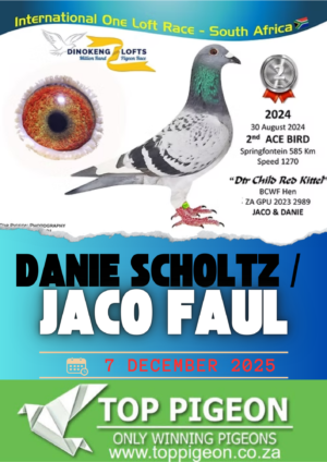ACTIVE AUCTION - DANIE SCHOLTZ / JACO FAUL - FROM 2 DECEMBER TO SUNDAY 7 DECEMBER 2025 (ENDING FROM 14:30)